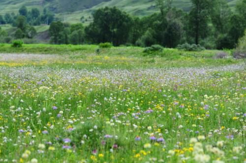 川藏线户外行攻略新都桥