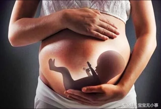 什么时候检查胎位最好 t01aee715b4c76e4e5a.webp