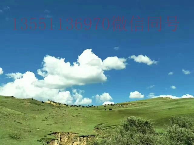 川藏线旅游旺季是几月?成都租车要多少钱?