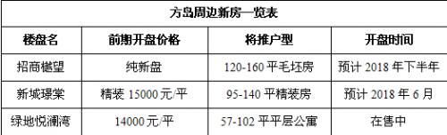 150万方四新方岛有新进展！周边新房、二手房值得投资吗？