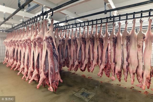 2018农村养殖新政策,绿色猪肉将主导肉类市