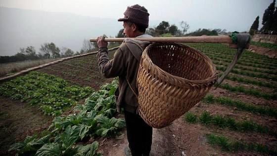 在农村，土地除了种庄稼，还有三种“盈利方式”，一般人不知道