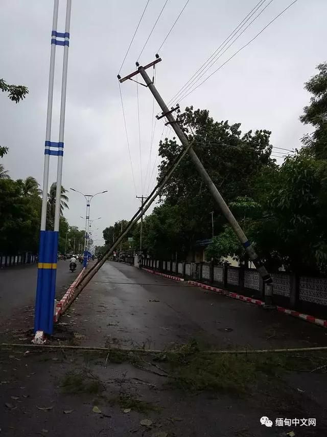 大风大雨太猛烈了！雨后的缅甸很受伤！