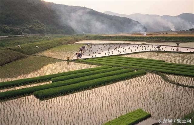 关于农村土地继承的若干问答，建议收藏！