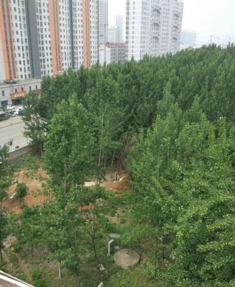 太吓人，小区旁边竟有一片坟场，新房装修好，全家人都不敢住!