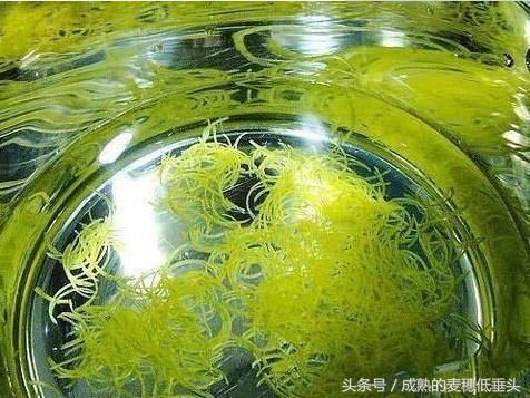 孩子咳嗽、流鼻子？这块皮切丝煮熟，喝一次管用！奏效飞快