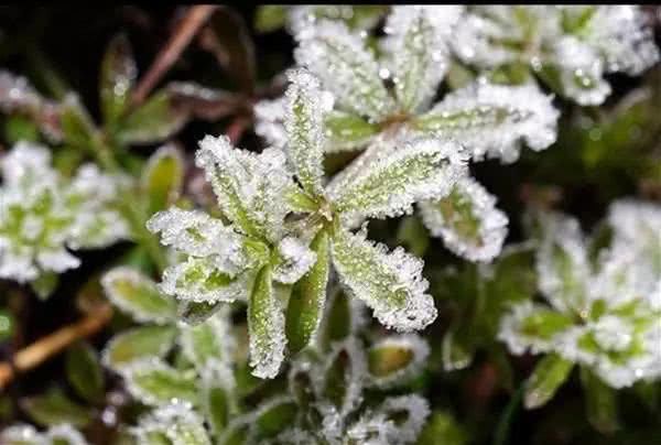 泰国最美国家公园：因他农山