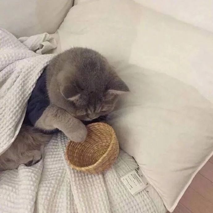 不要因为冷就去抱另一个人