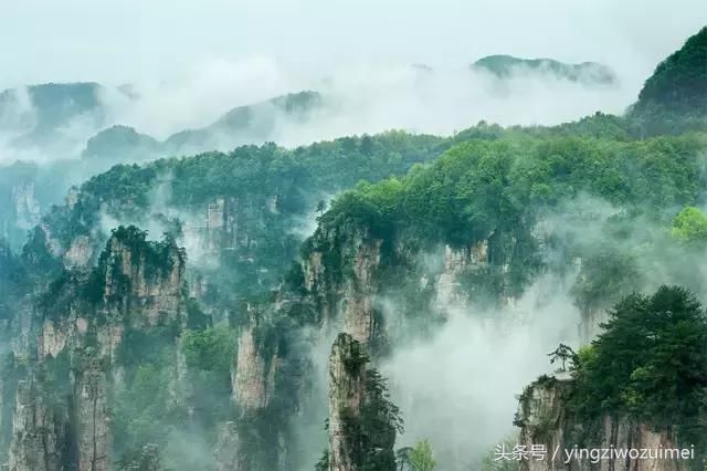 张家界旅游是否需要请导游?张家界陈峰自助游秦阿妹在这探讨一下