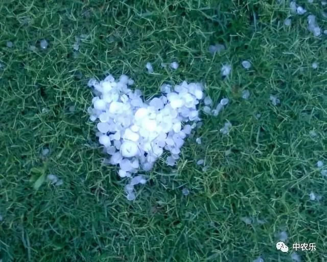 昨天山东多地遭冰雹袭击,春暖花开季节却为何