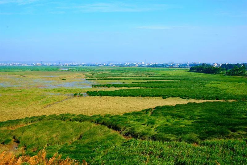 闽江河口湿地公园位置
