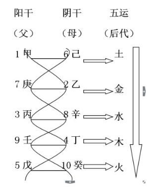 伏羲女娲交尾图，隐藏天干合化五运DNA双螺旋模式图的奥秘