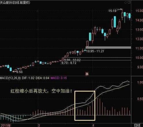 一个股民坚持的选股原则，散户牢记10点选出的都是好股