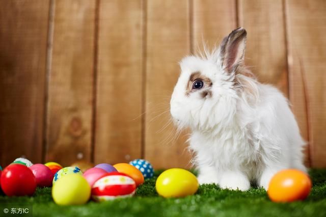 属兔的人快来看看,2018年6月吉祥如意,金山银