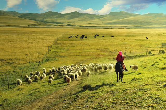 中国面积最大的城市,相当于江西和浙江两个省