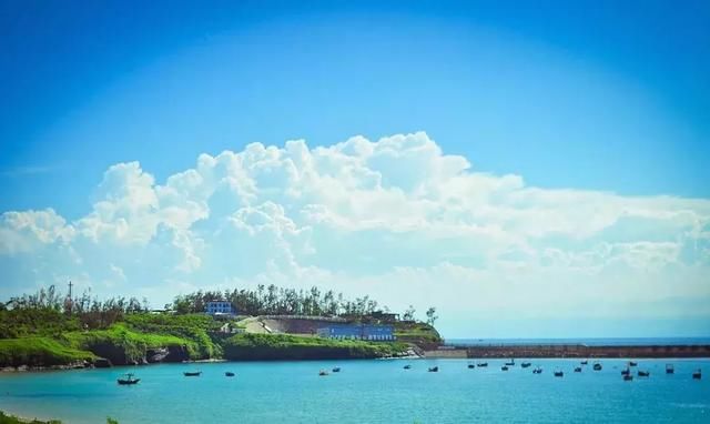 不小心惊艳了世界