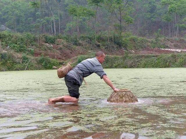 男子捞鱼时被鱼咬到鲜血直流，专家看到鱼以后坚决让其人道毁灭!