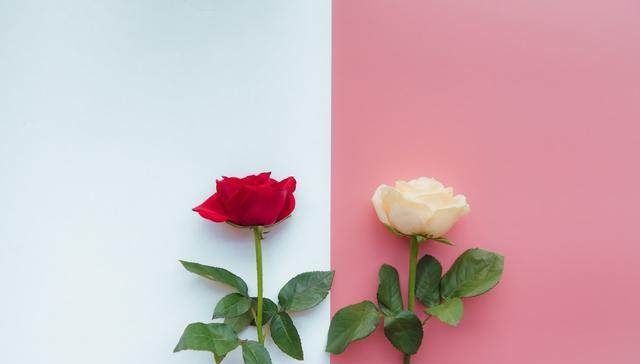 微信拉入黑名单