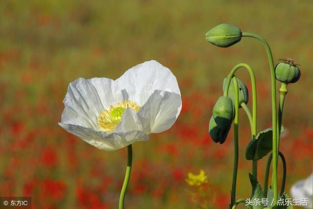 做人，绝不做忘恩负义的小人！