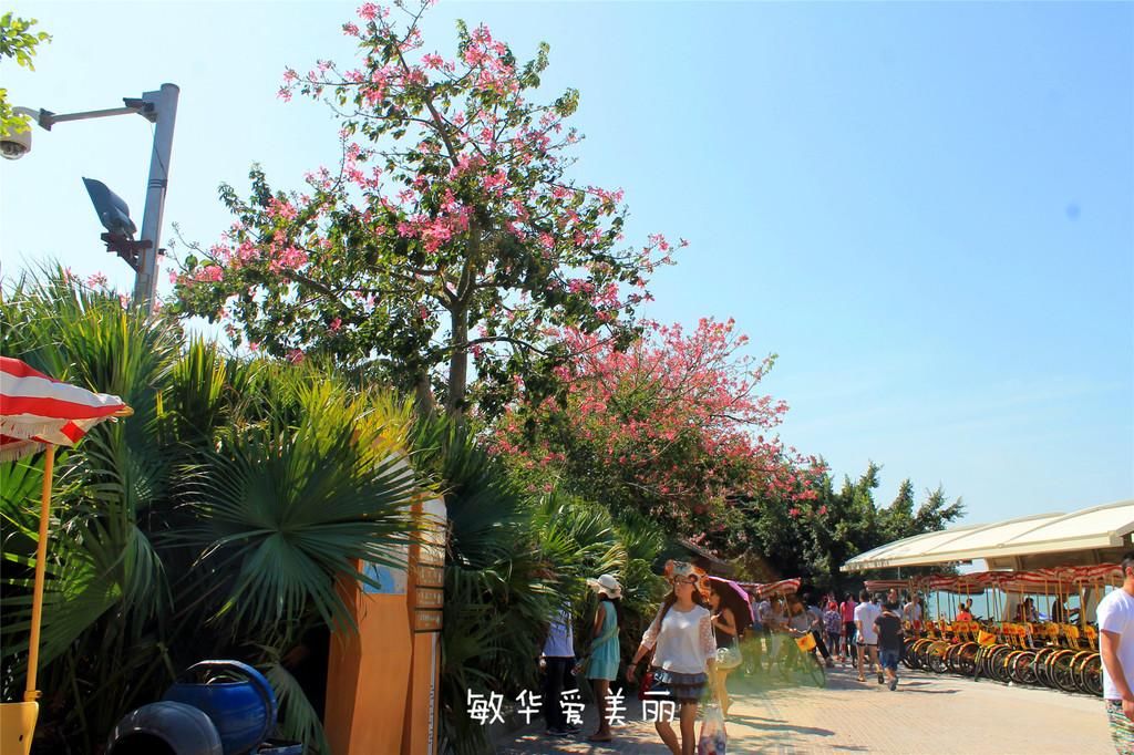 厦门市十五届人大五次会议