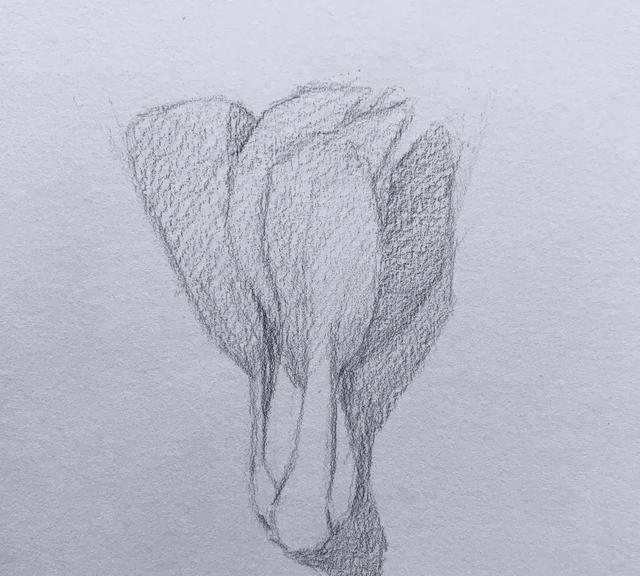 基础教程绘画,零步骤步奏讲解实物素描贴指甲图片