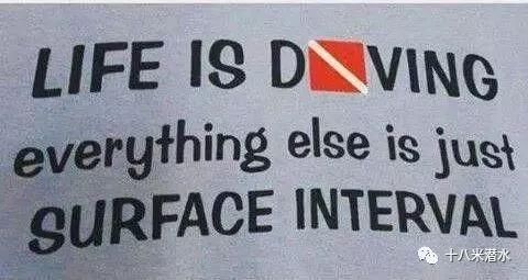 走肾系:潜水员对潜水的感悟,一本正经到吓人