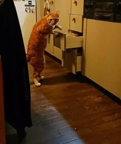 朋友圈传疯了!2018年度顶级搞笑的图片,再不看