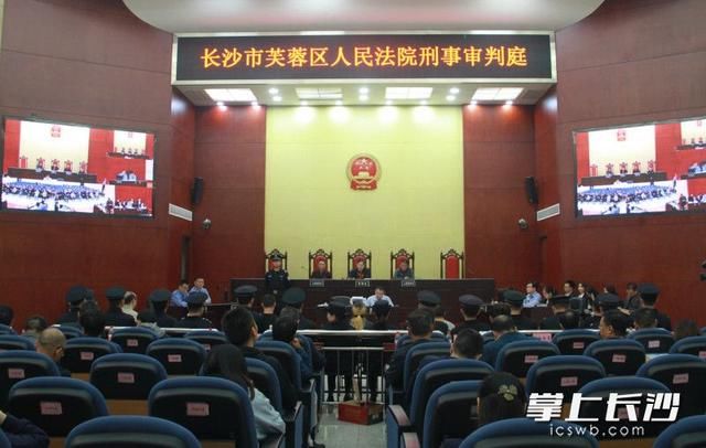 有期徒刑最高多少年