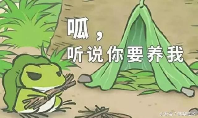 关注|僵尸电影、旅行青蛙…大学生毕业论文写