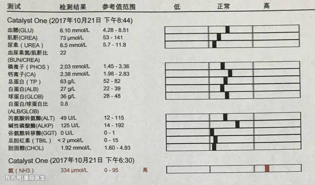 体检报告解读:肝炎和肝功能检查!