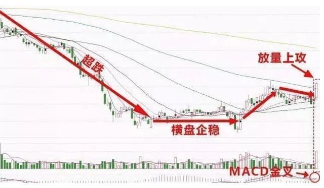 次新第一股惨跌85%至11元,遭机构52亿增持,望
