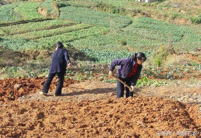 男性光棍越来越多的根本原因是什么？专家的解释不少农民都赞同！