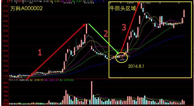 中国股市老股民告诉你：投资高手都是用这种“笨”方法炒股的！