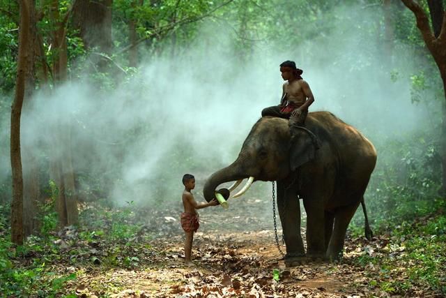 真相了！为什么柬埔寨人爱问中国游客要小费？网友的回答令人深思