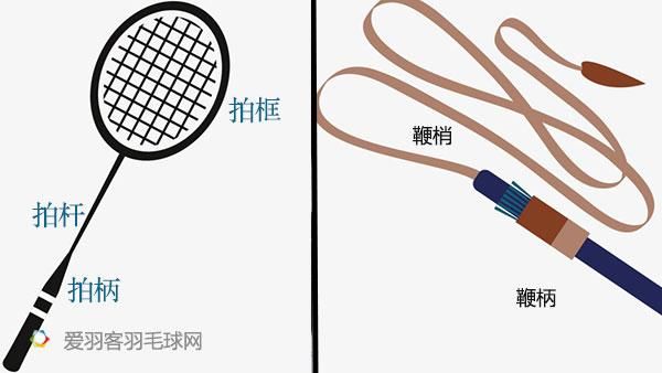 一文看懂丨“鞭打”到底是怎么回事