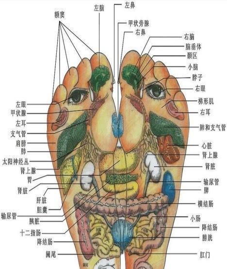 人体降压穴位究竟有多少,哪个穴位降压效果最
