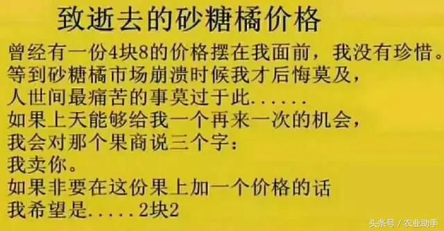 2018年，砂糖桔真的烂市了吗？