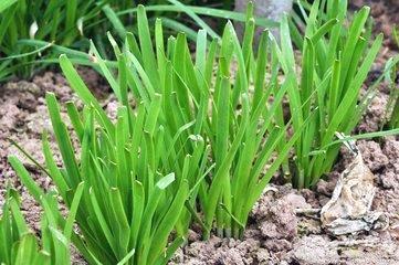 苦瓜+鸡蛋,作用太厉害!头晕手麻不见了,颈椎病