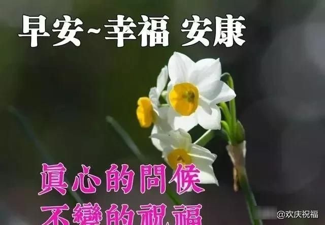 鼠年祝福动态图片大全