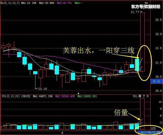 一招“出水芙蓉”选股法 3分钟轻松选出黑马股！