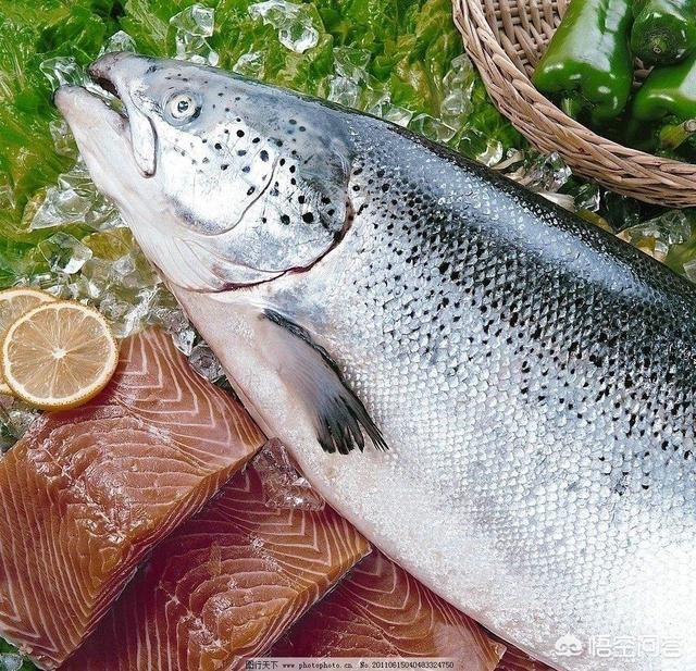 国内三分之一的三文鱼市场被虹鳟鱼假冒是真的吗?虹鳟能生吃吗?