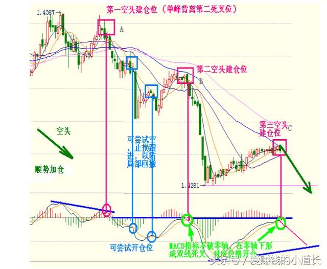 海龟系统外汇应用第二阶段