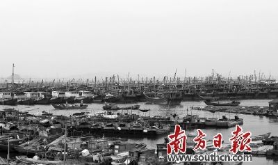 台风 玛娃 明日登陆粤闽沿海省防总启动防风级