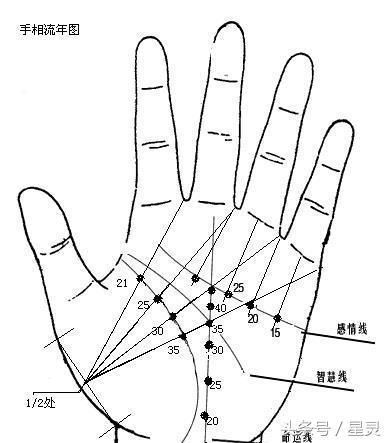 最全的手相掌纹合集 收藏起来留着慢慢看