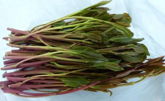 公安提醒:这款爆红饮料是新型毒品!千万不要喝!_【今日爆点】