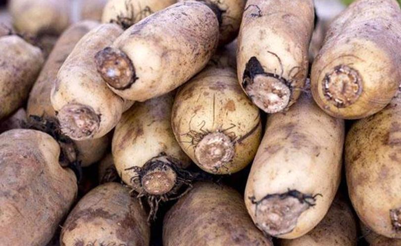 幽门螺杆菌会伤胃?谨记多吃4样菜,常喝1种水,