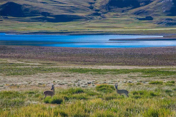 世界上最高的村落，风景秀美上个厕所都能看见雪山，但人的平均寿