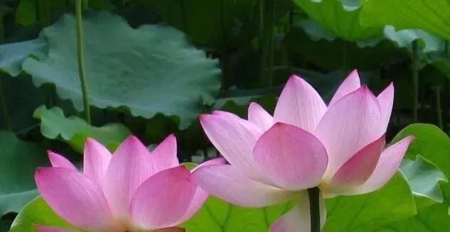 2019年彩票中奖都有谁