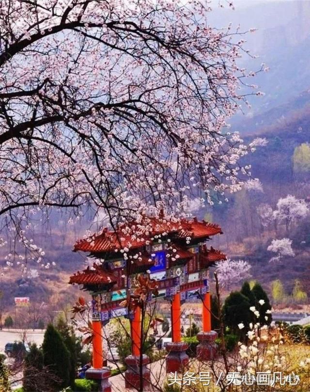 收好 | 清明小长假，石家庄周边游玩指南！