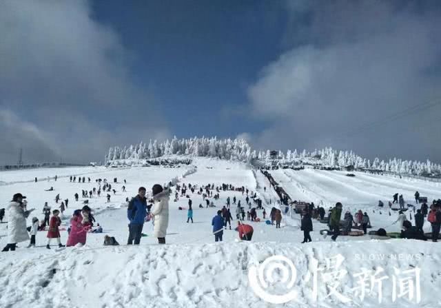 元旦祝福图片唯美